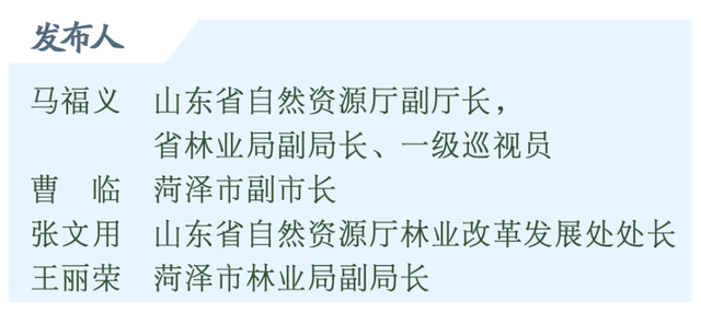 答记者问｜中国林交会云平台将正式启动，促进林产品供需对接