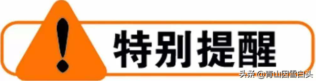 欧洲行道树发展史及常用品种介绍，你从中发现商机了吗？