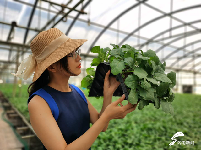 寿光90后都市白领回乡种地 分享种植经验走红网络