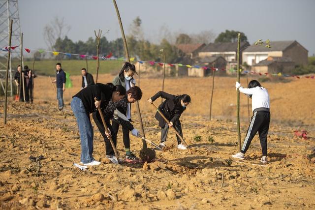 耕地保护再升级，农户责任增大，栽树、种草、养殖都将严处罚