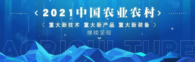 2021中国农业农村重大新技术｜橡胶树速生高产新型种苗育苗技术