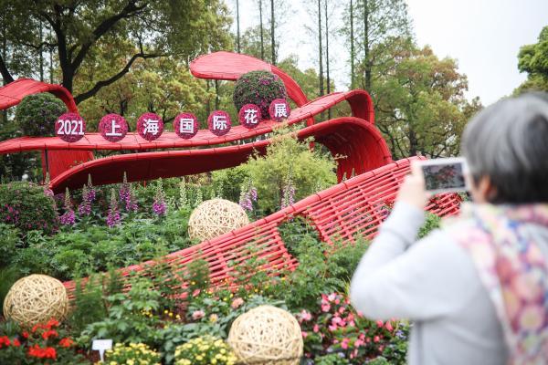 上海国际花展第三次采用“双女主”，两千多年前它就是定情信物