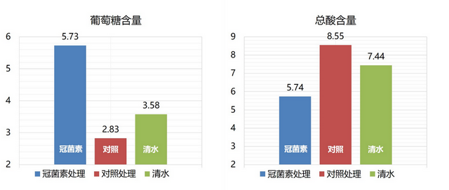 COR-冠菌素——种出胜“荔”果实，荔枝早上市，耐储运