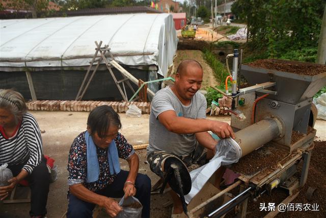 安徽农民种植蘑菇，祖孙三代齐上阵，苦熬30年终于修成正果