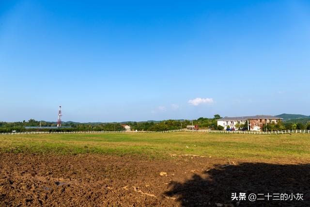 如何成为种粮大户？多地标准已明确，每亩补贴大揭秘！