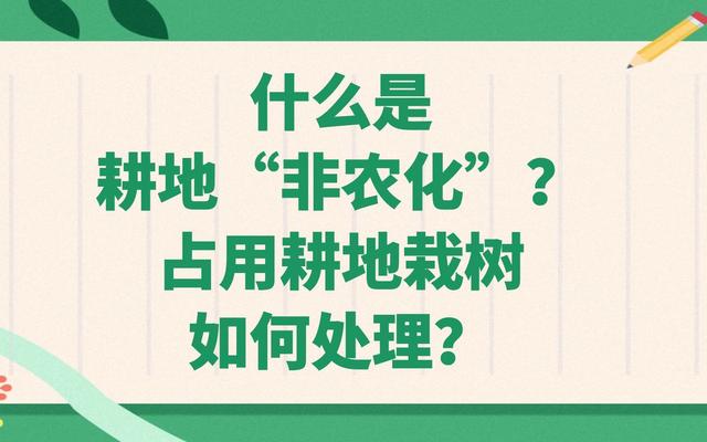 地是种粮的，不是种树的，2024新规定来了，农田种树将如何处理？