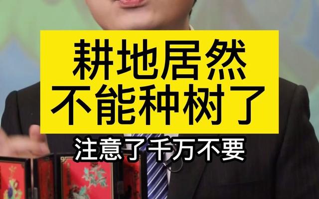 地是种粮的，不是种树的，2024新规定来了，农田种树将如何处理？