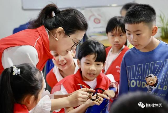 难度五颗星，柳州园博园教大家养碗莲