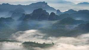 大红袍茶树种植(诗画问茶·大红袍｜武夷岩韵，悠然万古山水间)