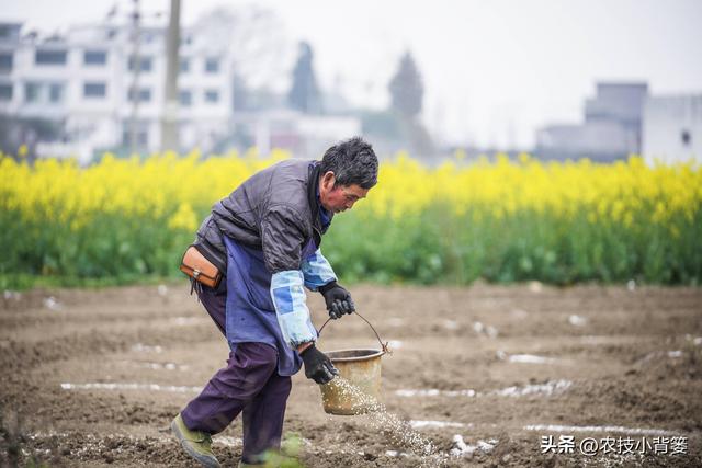 种植大豆，如何使用底肥、种肥、追肥、叶面肥才能实现高产优收？