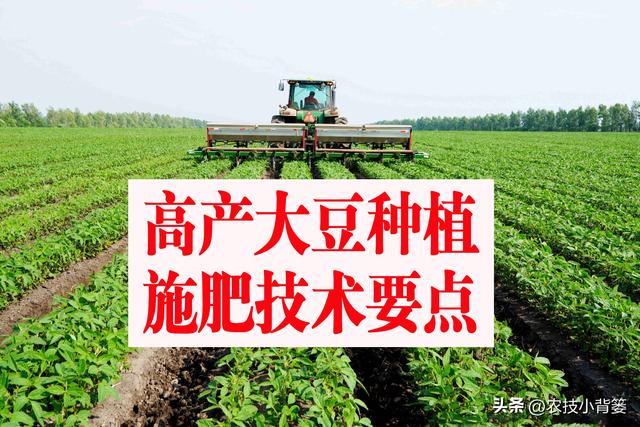 种植大豆，如何使用底肥、种肥、追肥、叶面肥才能实现高产优收？