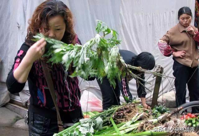 种植艾草一亩利润多少？2019年价格多少钱一斤？明年种植前景如何