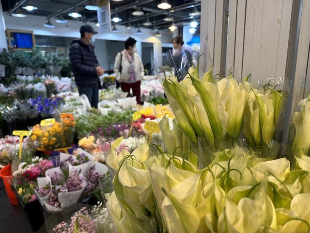 春暖花开，一起逛逛花市，带束春天回家