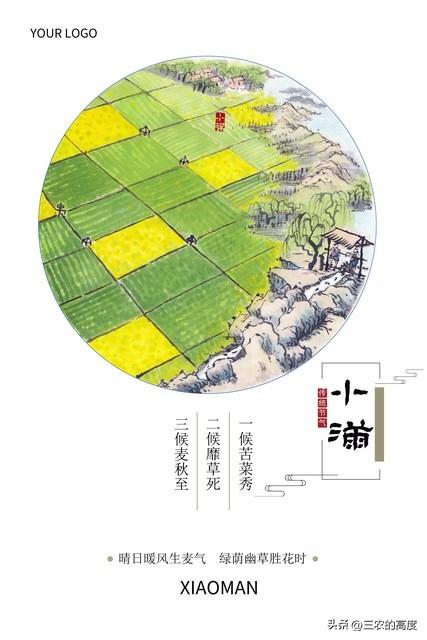 小满将至，这9种菜可以种了，喜湿耐旱也耐热，想种就别错过了