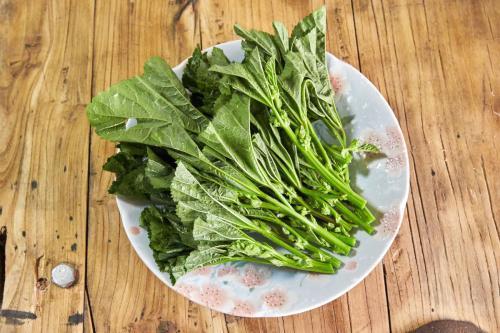 以前充饥的野菜，现在城里人自己种，营养价值高叫“葵菜”