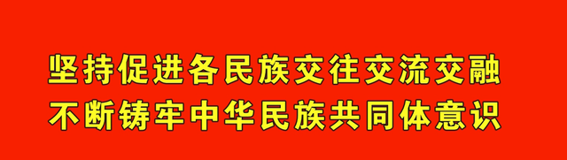 蔬菜大棚“绿意浓” 农民增收致富忙