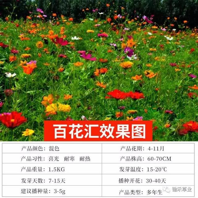 当季园林花草苗木养护措施