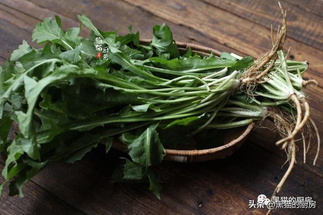 这植物路边常见，北方人用它凉拌蘸酱，广东人用它煲汤，清热祛湿