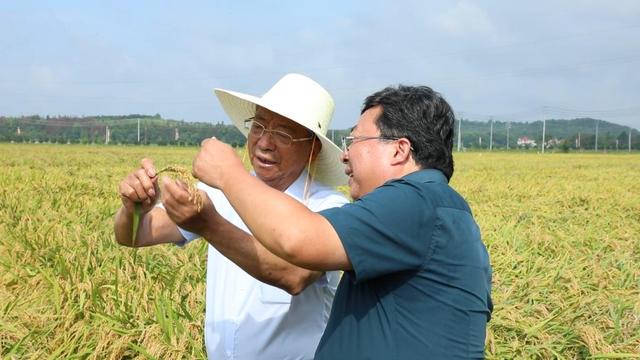 全国首个！在江西种植成功