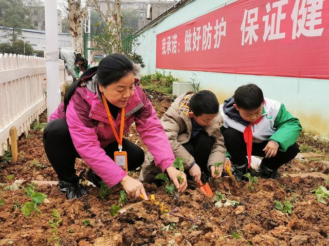 学童未解供耕织 也在校园学种瓜——这所小学的种植节活动亮了