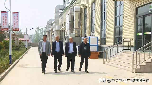 【田间示范秀】兄弟齐心，其利断金！看兄弟4人如何将小小芽苗菜创造出上亿财富！