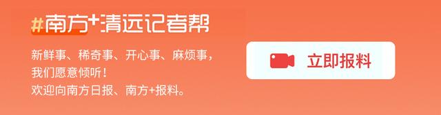 小竹荪谋建大产业，英德青塘镇“党建+产业”带动全域现代农业发展