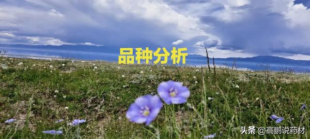 高鹏说药材：关于2023年药材种植的几点建议 ，感兴趣的可以关注