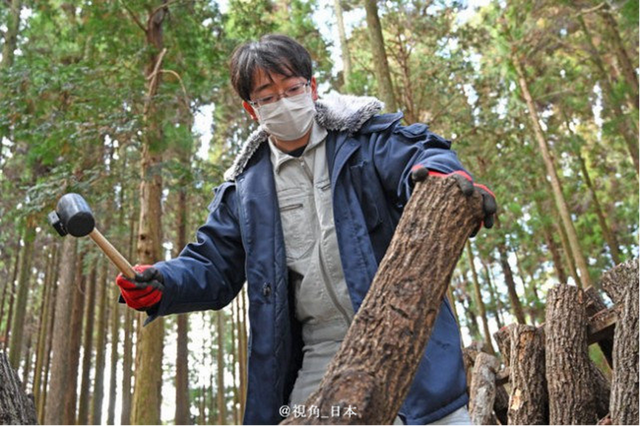 捶打10下，香菇产量就能翻倍，是被吓醒了吗？