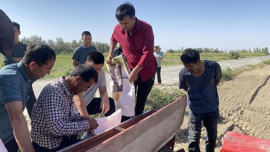 共赴一场秋天的约定 若羌县召开冬小麦播种现场会