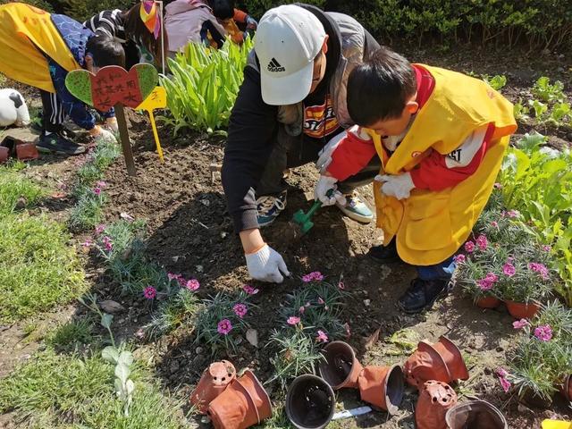 把春天“种出来”，宝山这里举行亲子种植活动