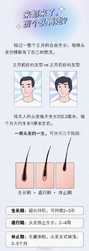 一份价值过万的头发打理攻略