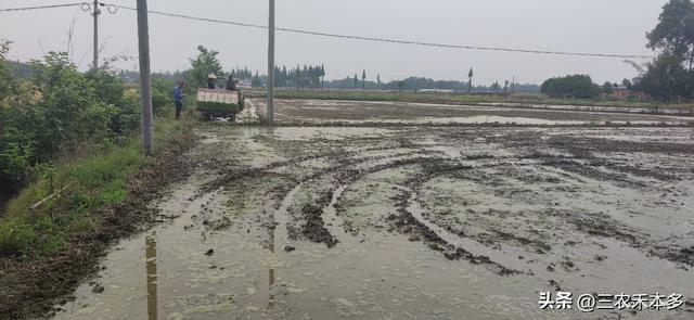 认识和理解水稻土，提升种植管理水平，提高水稻产量