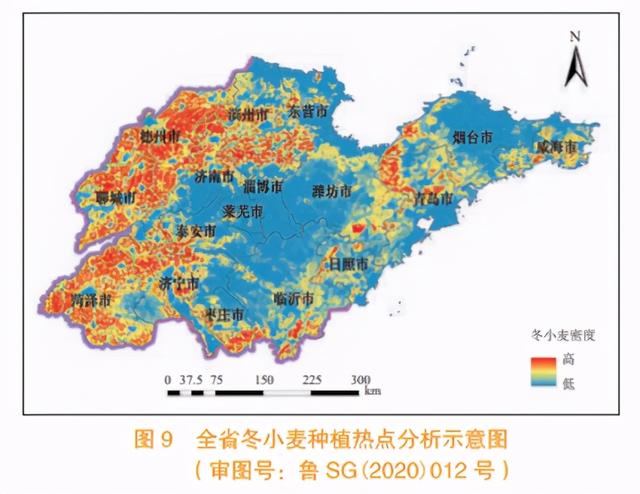 省域冬小麦种植面积监测分析方法与应用