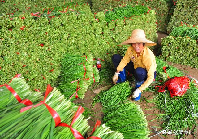 春天，“头刀”韭菜，选白根还是紫根？差别很大，别再被老板忽悠