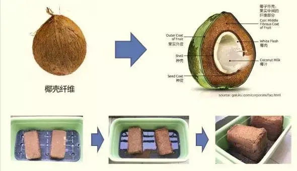 0基础玩转“一米菜园”的详细攻略，看完都会了（干货）