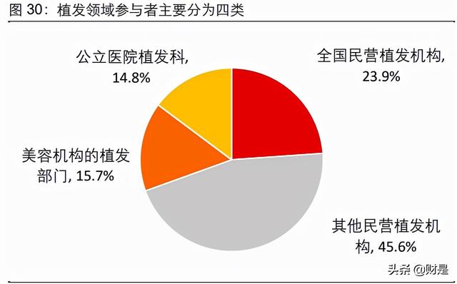 植发行业研究报告：渠道先行，品牌接力