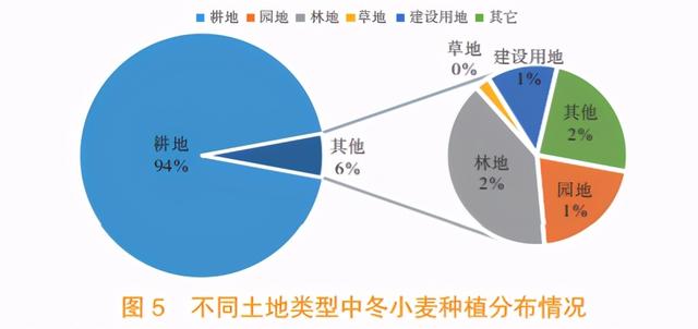 省域冬小麦种植面积监测分析方法与应用