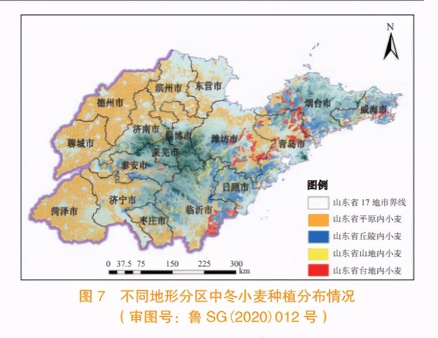 省域冬小麦种植面积监测分析方法与应用