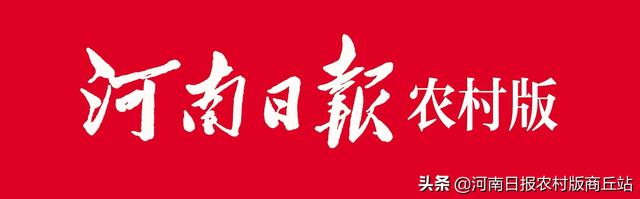 河南柘城：韭菜熟了 农民乐了