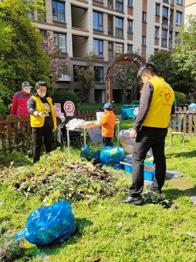 把春天“种出来”，宝山这里举行亲子种植活动