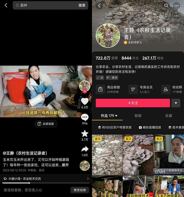 吃完的玉米芯先别扔，90后大学生靠它种蘑菇带富全村获央视点赞