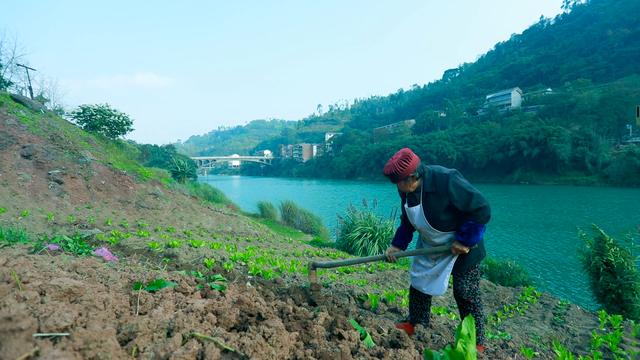 新农村能这样建设吗？各有利弊农村房前屋后种植蔬菜是好是坏？