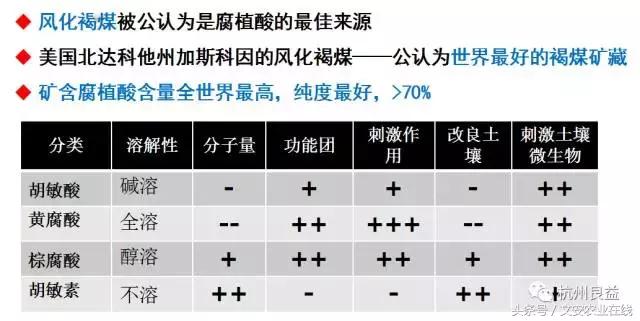 西瓜全程种植技术方案