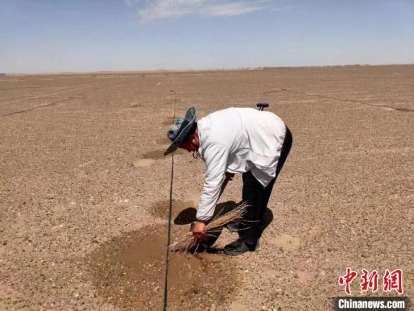 北京老王“邂逅”内蒙古额济纳 8年植绿31万亩