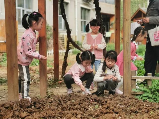 忙碌四季农事 南京市香山路幼儿园的孩子们爱上劳动