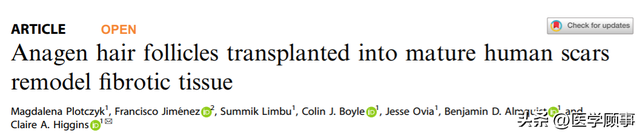 真正改善疤痕，最简单的可能是移植毛囊？