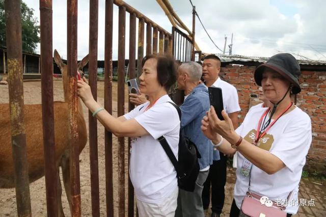 拖着残腿，他“蹚”出了一个农场的诗和远方