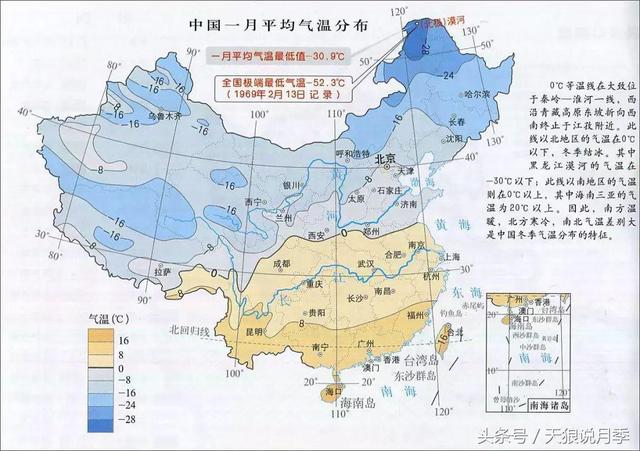 南方VS北方，月季养护重点大不同！你种对了吗？