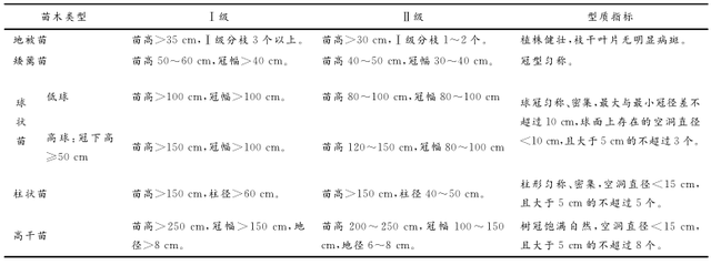 红叶石楠容器苗培育技术规程