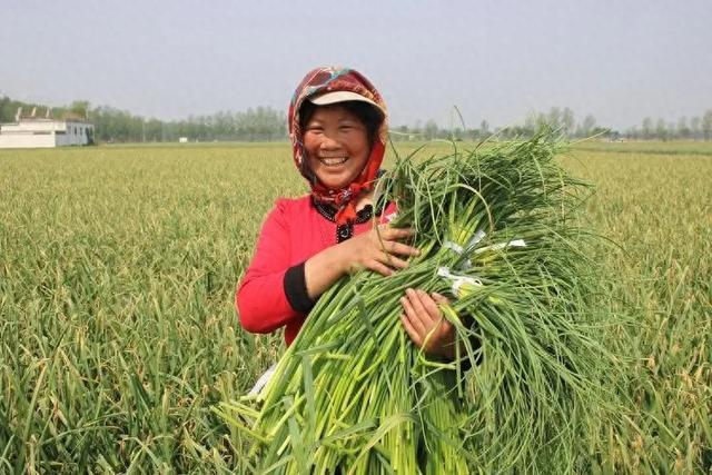 现在有多少年轻人不知道农作物的种植时间？